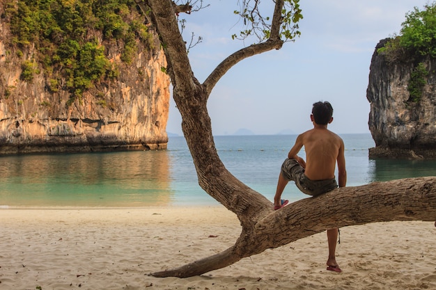 Photo a man sitting on tree