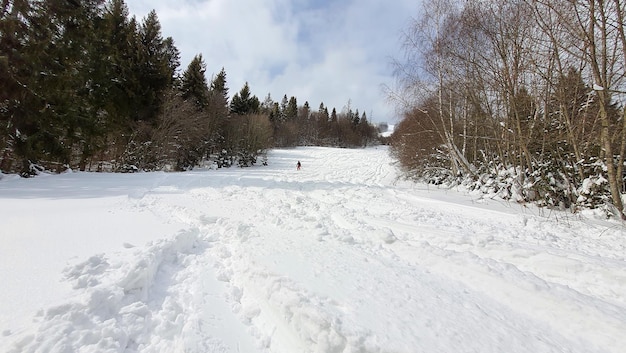 Man skier at ski slope powder day ukrainian carpathian mountains