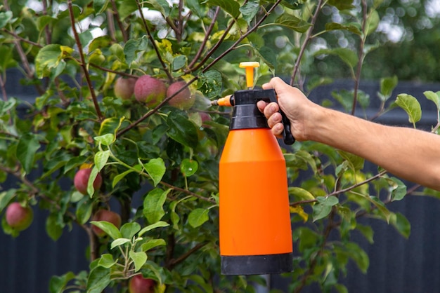 A man sprays trees in the garden Selective focus