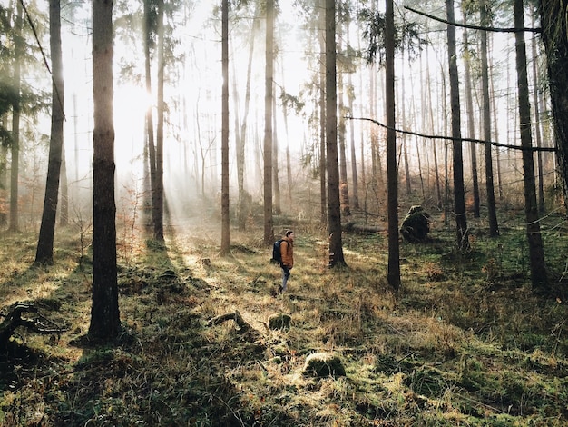 Photo man standing amidst trees in forest