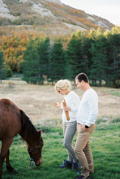 Man stands next to woman with a baguette in her hands near a horse on the lawn