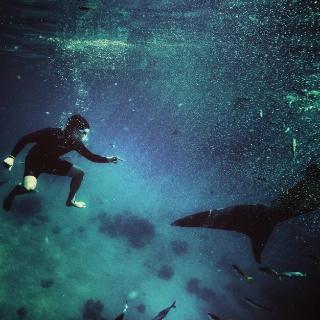 Man swimming in sea