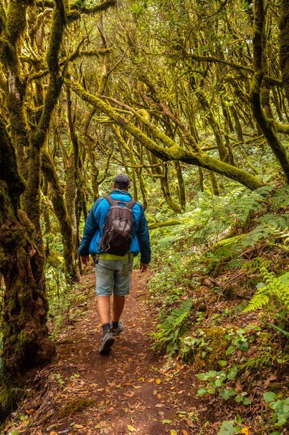 Man on a trekking walking in the mossy trees of the humid forest of Garajonay in La Gomera Canary Islands