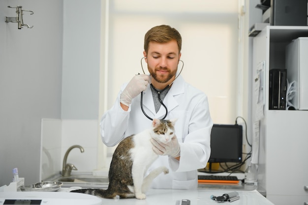 Man veterinarian listening cat with stethoscope during appointment in veterinary clinic