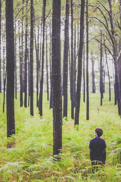 Man walking in the deep pine forest with large backpack.