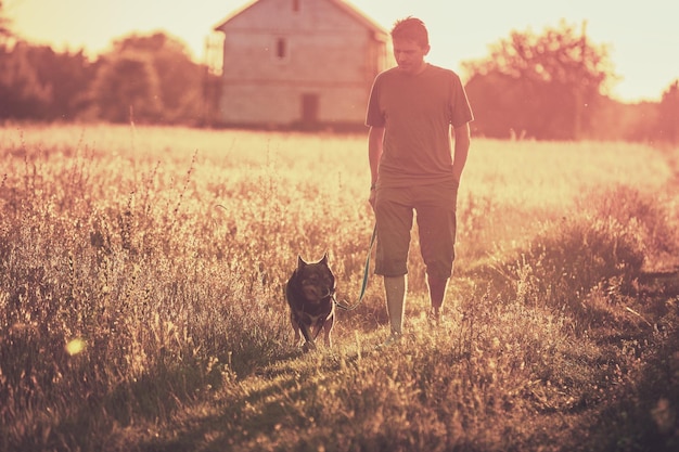 A man walks with a dog in a field at sunset Man holding the dog on a leash