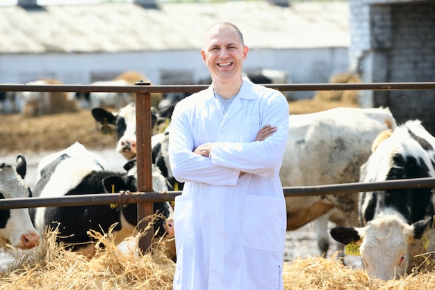 Man in a white coat on the cow farm