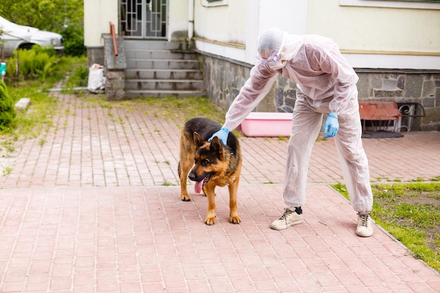 man in a white protective suit, wearing glasses, gloves and wearing a mask. and walks with theshepherd dog during quarantine. pets on quarantine