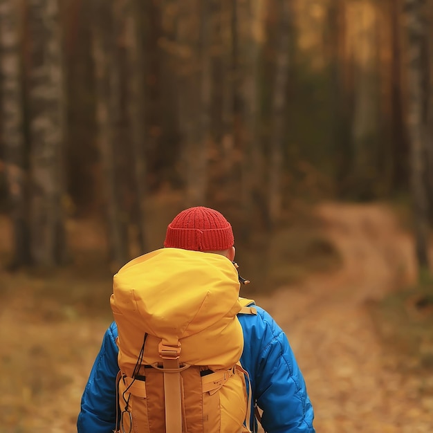 man with  backpack a view from the back, hiking in the forest, autumn landscape, the back of  tourist with a backpack