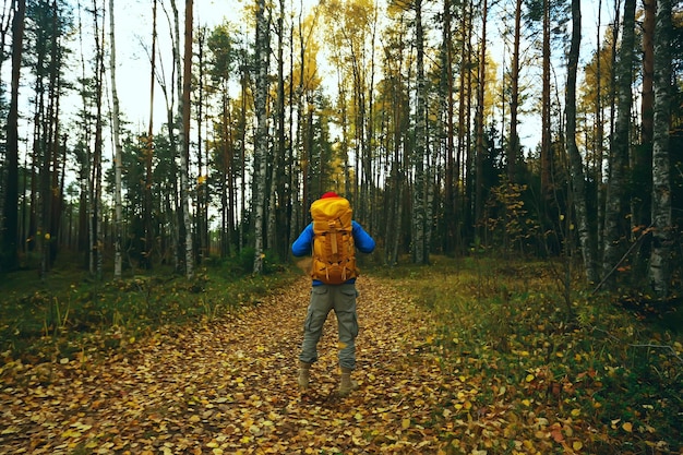 man with  backpack a view from the back, hiking in the forest, autumn landscape, the back of  tourist with a backpack