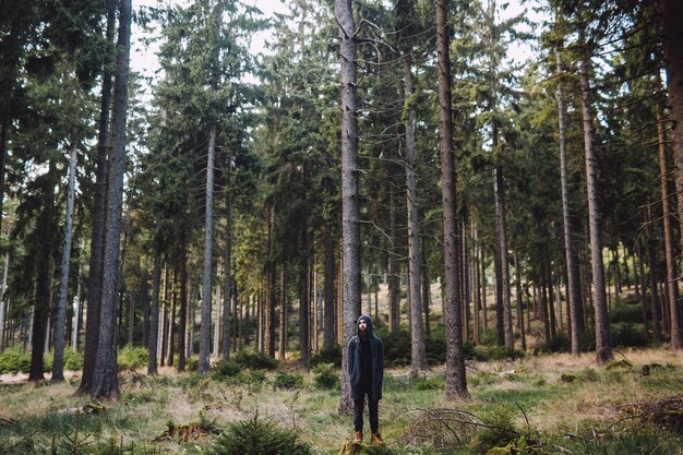 Man with beard stands in green forest with many trees