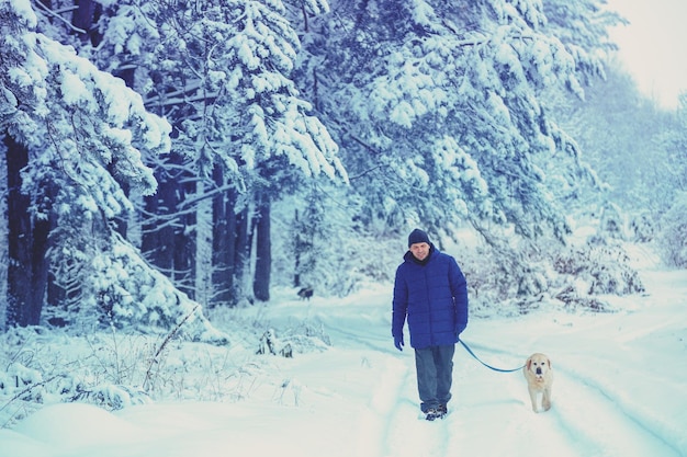 A man with a dog on a leash walks through a snowy pine forest in winter