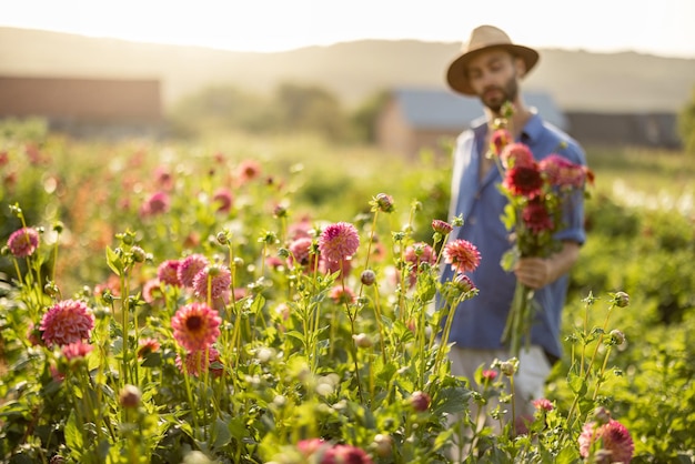 Man with freshly picked up dahlia flowers on rural farm