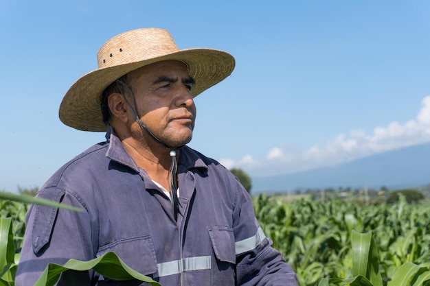 Man with hat in a field of corn