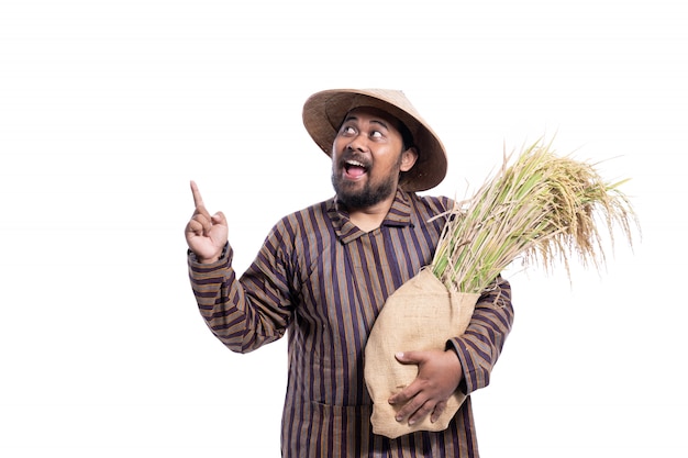 Man with Javanese traditional lurik shirt holding rice grains