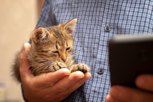 A man with a phone in his hand holds a small cute kitten in his other hand