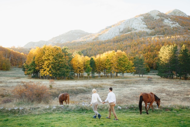 Man and woman are holding hands and walk on the lawn on which horses graze against the scene of