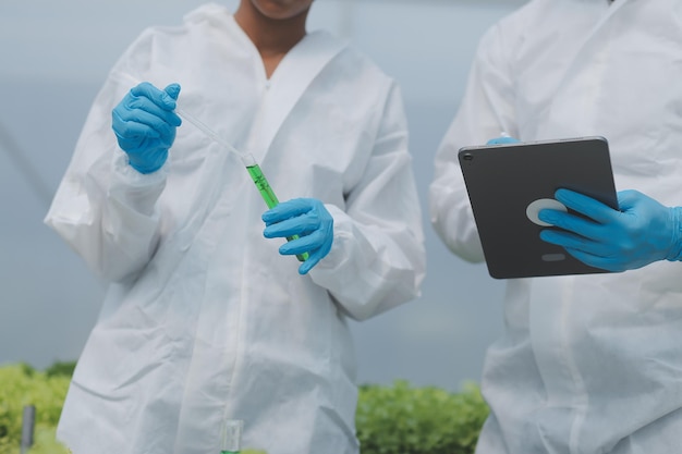 Man and woman use a test tube and a pipette while working in a greenhouse