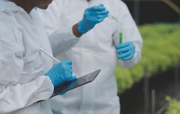 Man and woman use a test tube and a pipette while working in a greenhouse