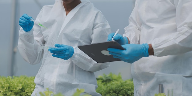 Man and woman use a test tube and a pipette while working in a greenhouse