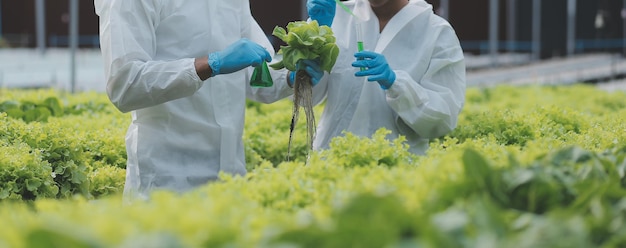 Man and woman use a test tube and a pipette while working in a greenhouse