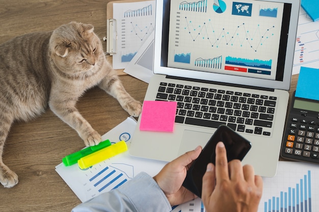 Man working from home next to his cat