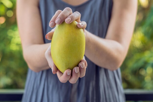 Mango in beautiful female hands on a green background.