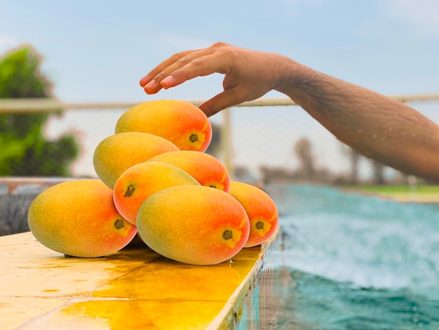 Mango in hand