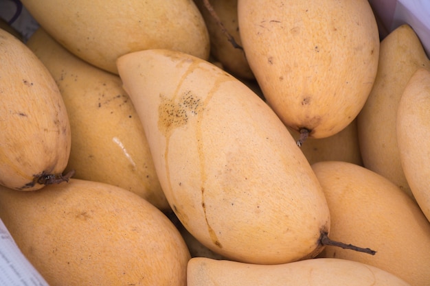 Mango is everywhere in Thailand. Mangoes in the market.