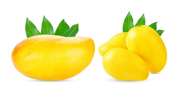 Mango isolated on white background clipping path