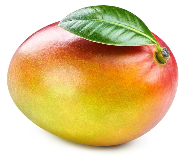 Mango isolated on white background. Ripe mango with leaves Clipping Path.