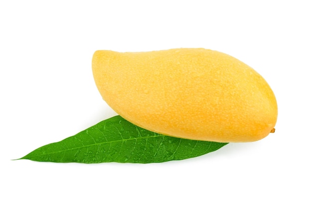 Mango isolated on white background