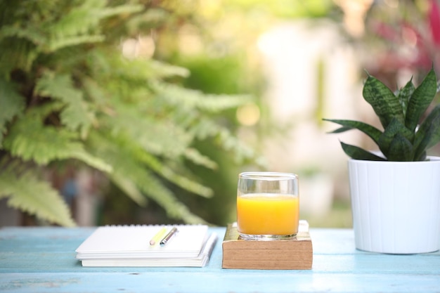 Mango juice and books and Hahnii small snake plant pot