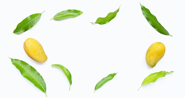 Mango with green leaves on white background