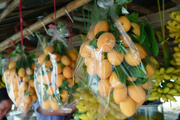 Photo mangoes in plastic bags hanging on market stall