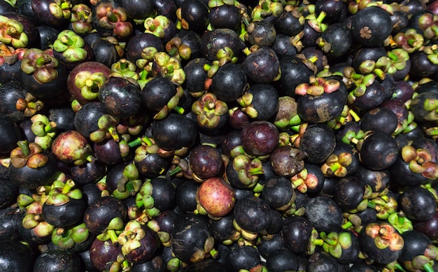 Mangosteen queen of fruit