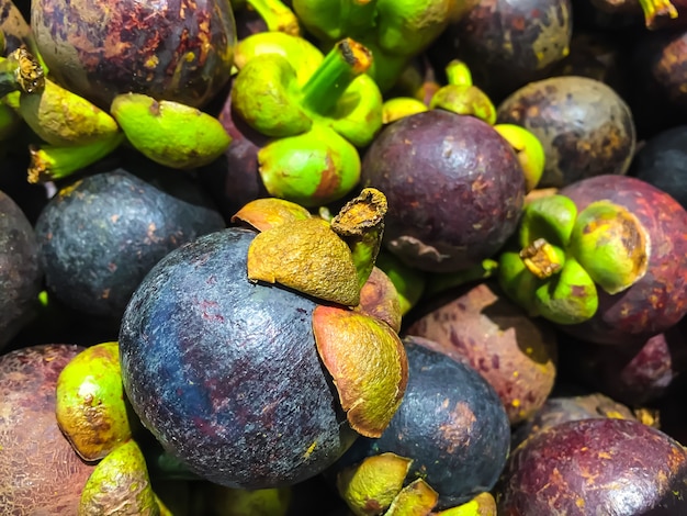 Photo mangosteen