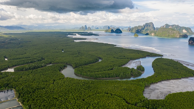 Mangrove forest and limestone at samed nangchee viewpoint and landmark province phang nga Thailand