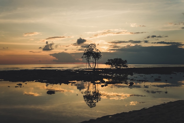 Mangrove Sunset, Taken at Neil Island, Andaman Islands, India. Silhouette of trees against sunset sun on blue purple sky. Beautiful sunset. Beautiful tree branches in the evening light. tour sea shore