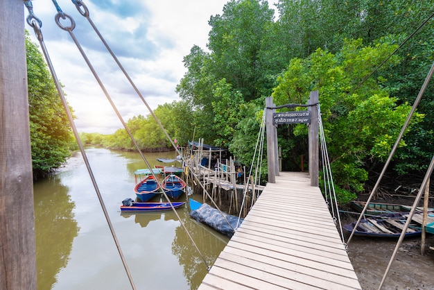 Mangroves inTung Prong Thong or Golden Mangrove Field at Estuary Pra Sae, Rayong, Thailand