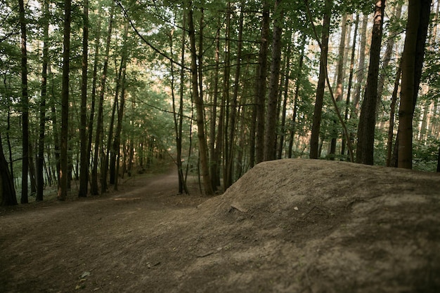 Manmade trampoline in the woods with the path after it Mountain bike and enduro bike road in the forest with bump made of dirt Extreme sports and cross country outdoor activity spot