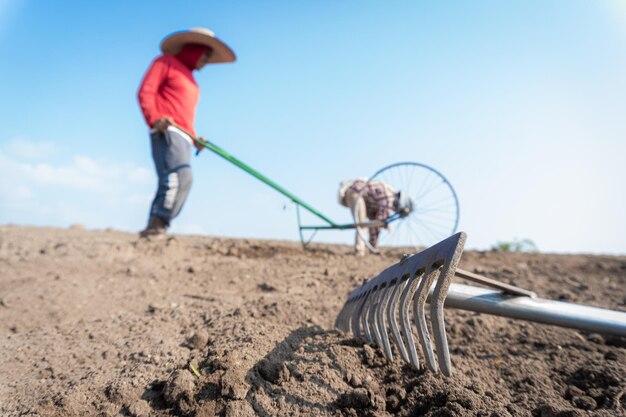 Manual Labor Farmer Planting Onions with Expert Hands