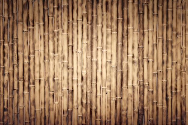 Many bamboo