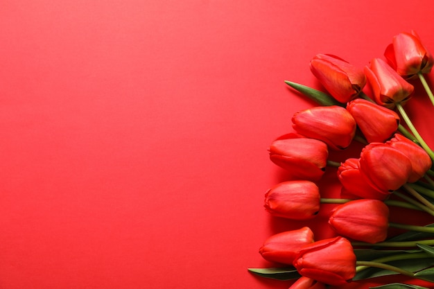 Many beautiful red tulips with green leaves on color