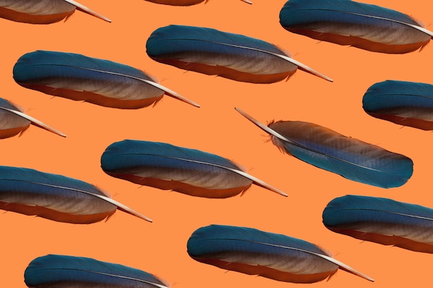 Many bright blue feathers on an orange background pattern