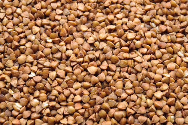 Many buckwheat grains macro close up background