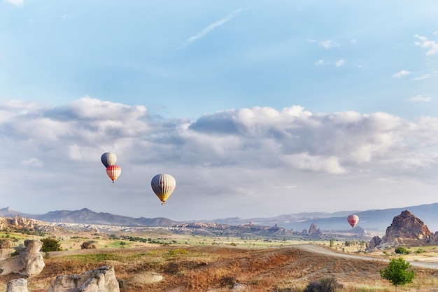 Many colorful balloons take off into the sky 