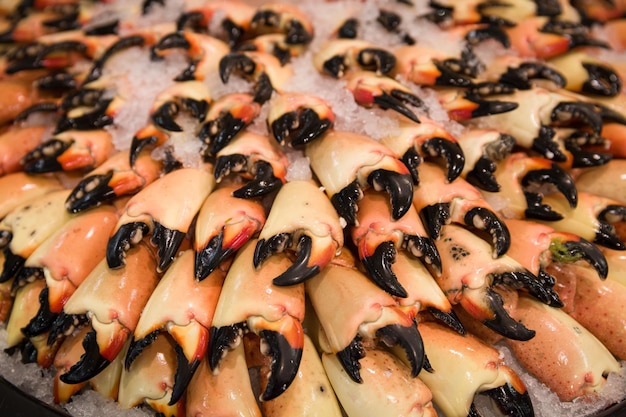 Many Crayfish Claws in the rows on the ice in the mall Fish department of a grocery store