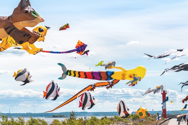 Many different kites are flying in the sky