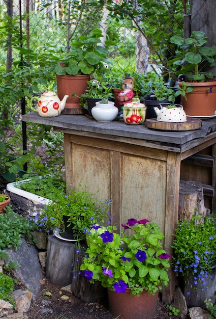 Many flower pots as a decoration in the garden at spring. Decorative flowers on a logs at springtime